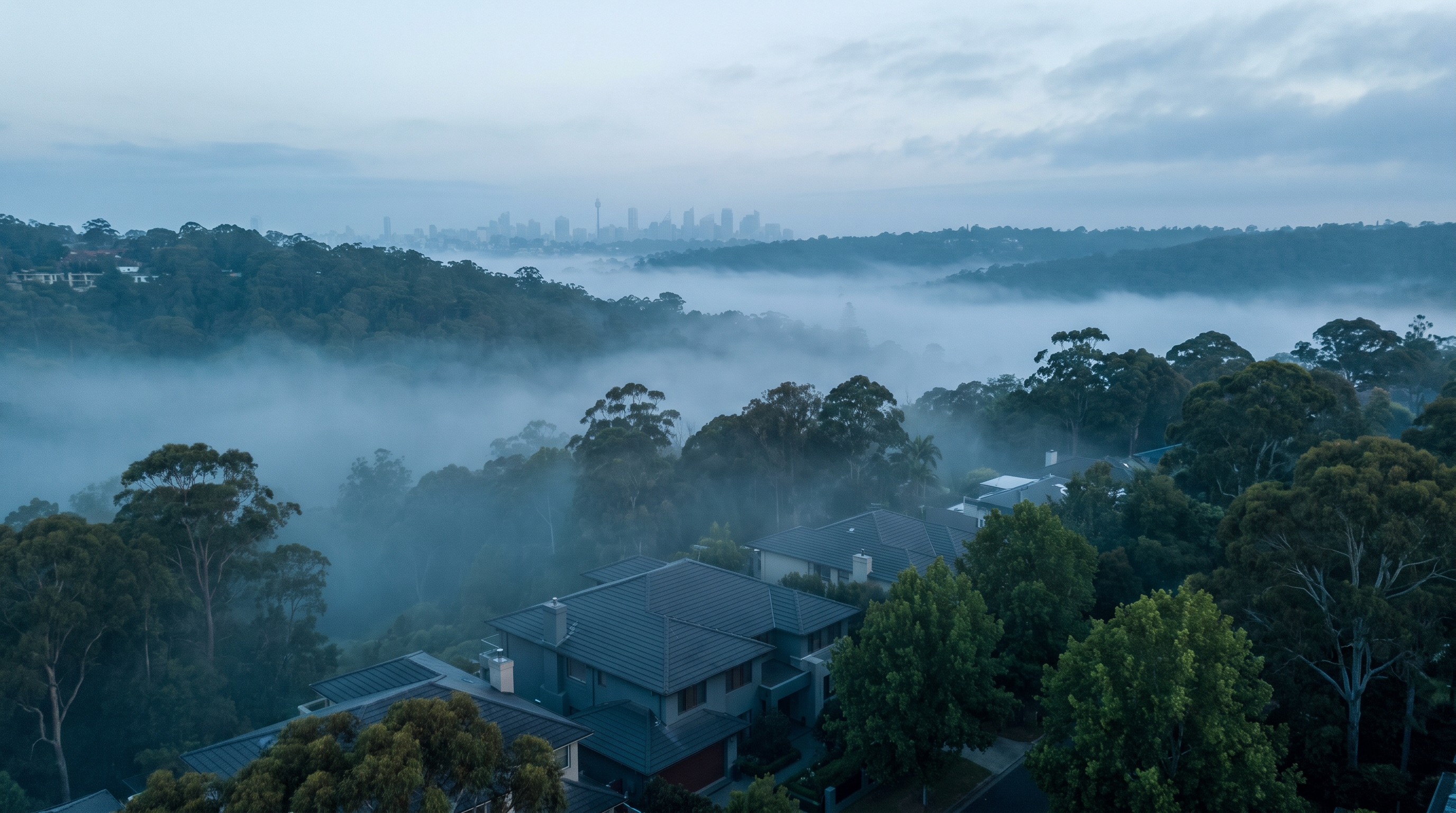 An aerial over a leafy affluent Hills neighbourhood in cool blue post-dawn light, large modern homes emerging from thick valley mist among green canopy, the distant Sydney skyline a faint silhouette on the horizon.