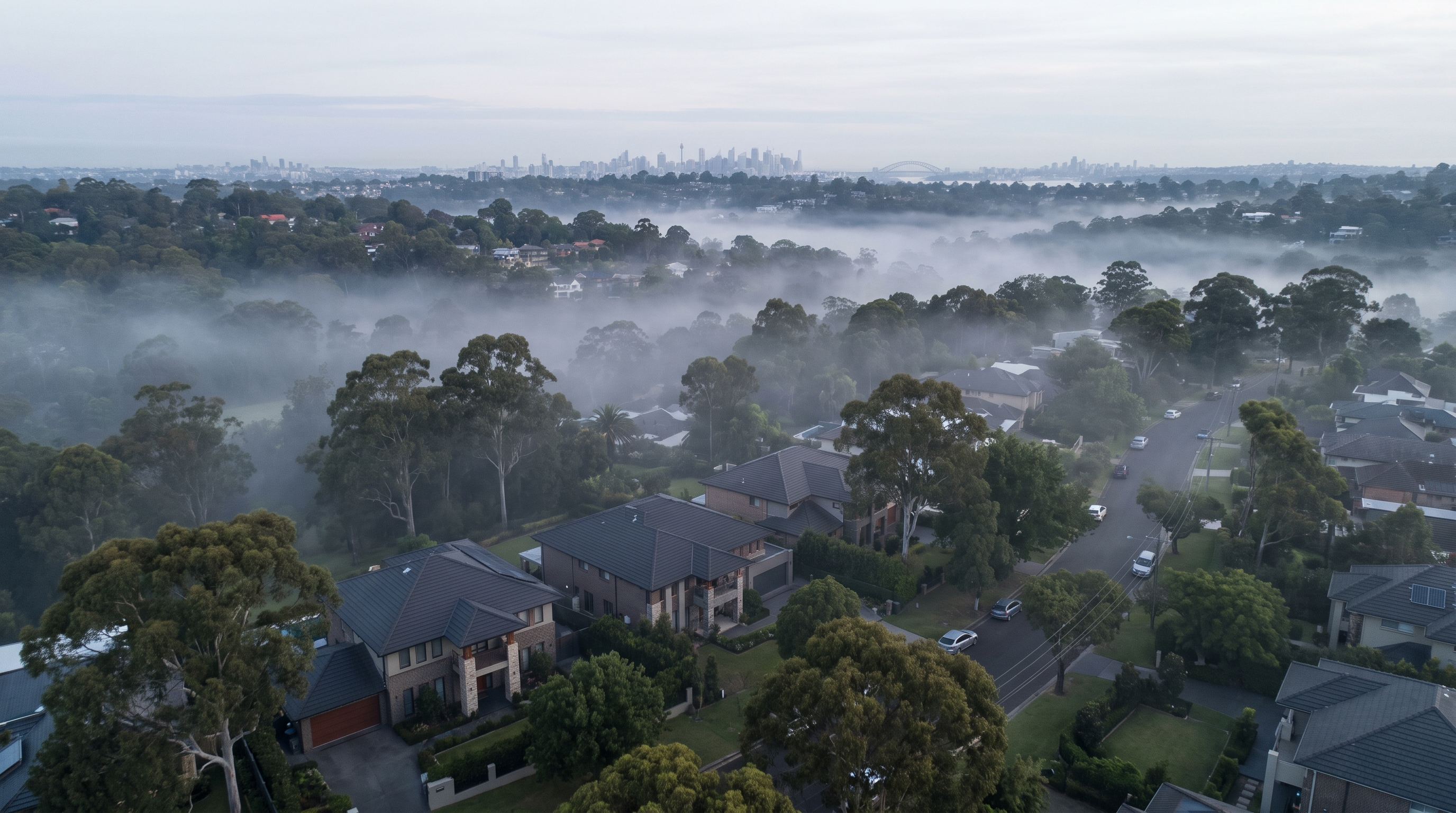 A high aerial over a quiet prosperous Hills neighbourhood on a still misty morning, large modern homes among mature trees fading into low silver-grey mist, the distant Sydney skyline a pale band on the horizon.