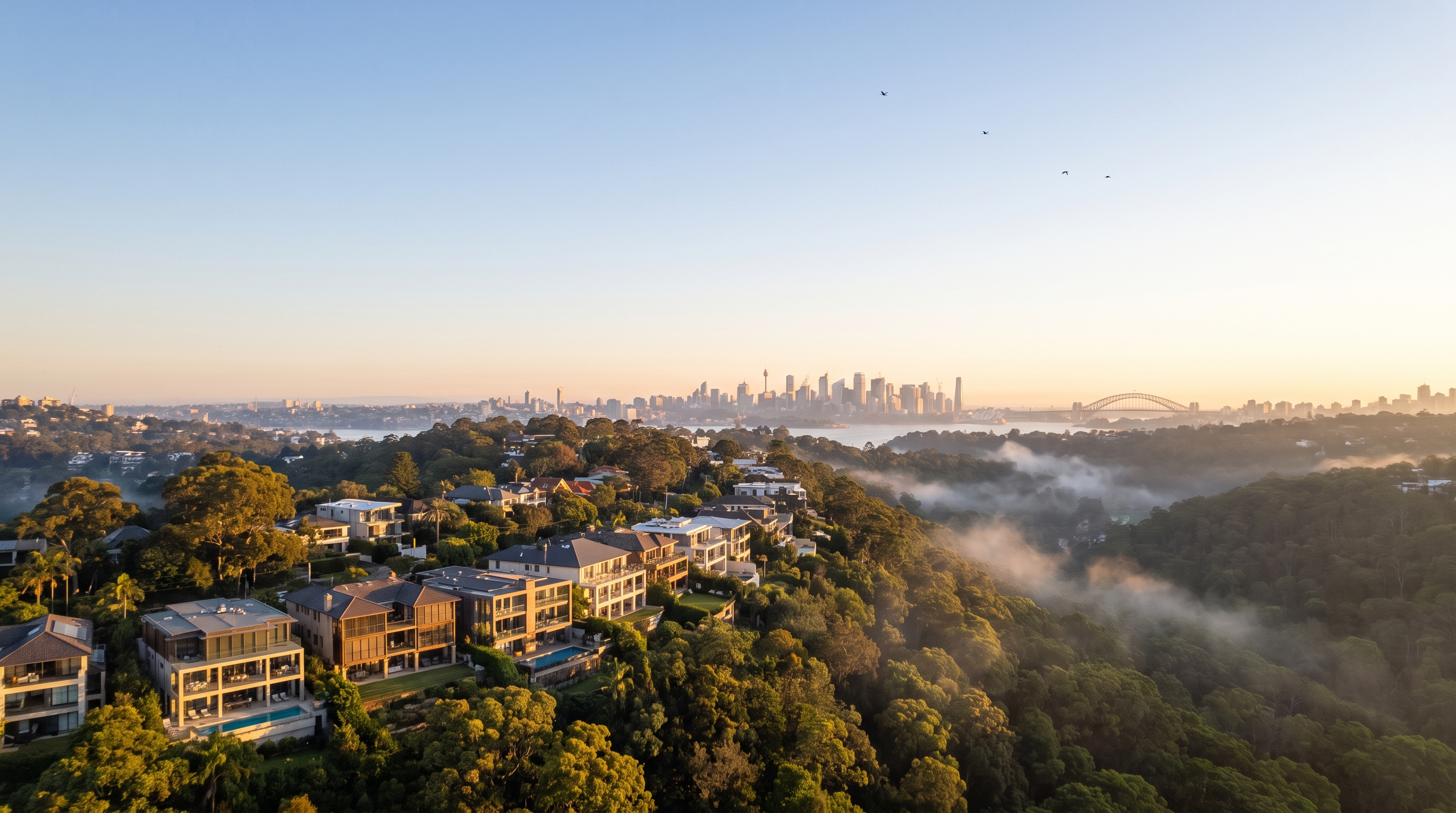An aerial at golden morning over large modern homes stepping along a leafy green ridge above a misty valley, the distant Sydney skyline and Harbour Bridge low on the horizon, a few birds high in the open warm sky above.