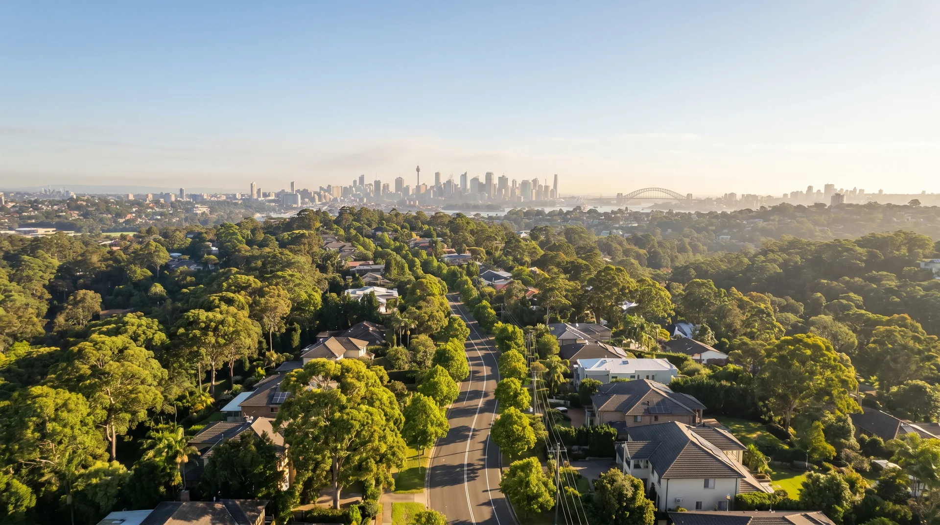 An aerial over the leafy Hills District at warm morning, a tree-lined road leading the eye toward the distant Sydney city skyline under a clear sky.