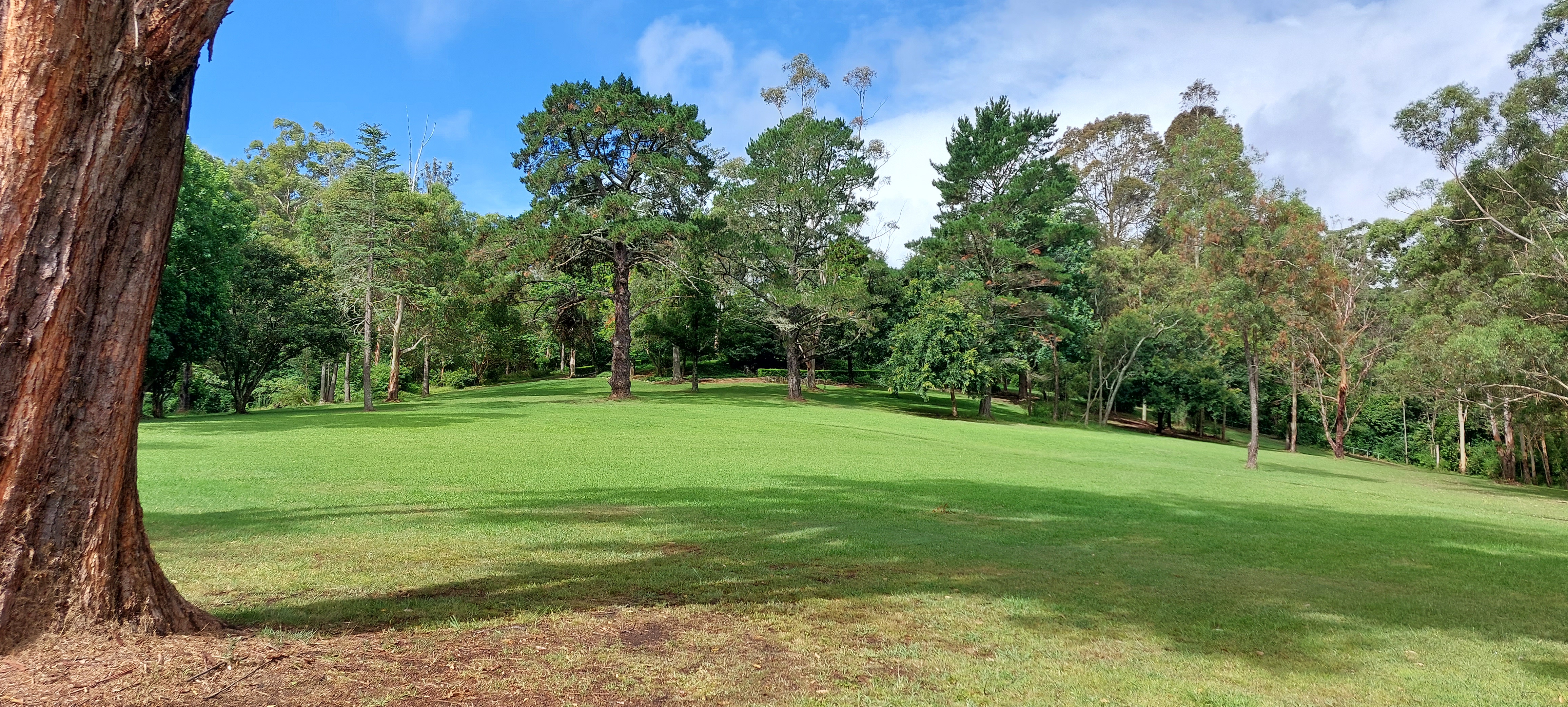 A real photograph of Castle Hill Heritage Park: open green parkland with established eucalypts and a clear blue sky in the Hills District of Sydney.
